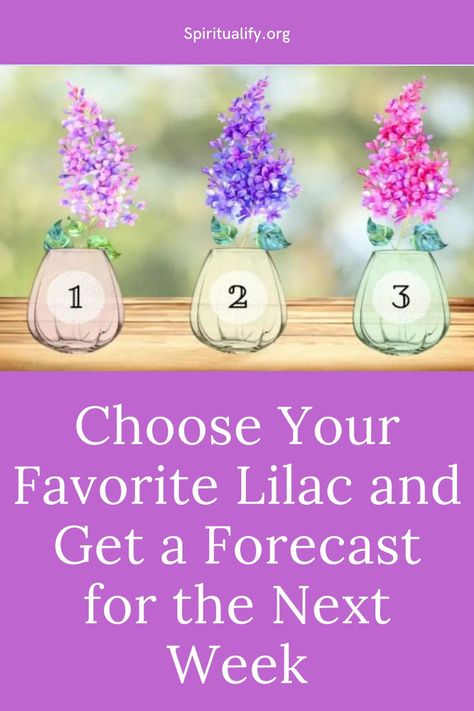 Choose Your Favorite Lilac and Get a Forecast for the Next Week Lilac Branch, Trust Your Intuition, Free Your Mind, Spiritual Path, One Image, Too Long, Pick One, Next Week, Trust Yourself