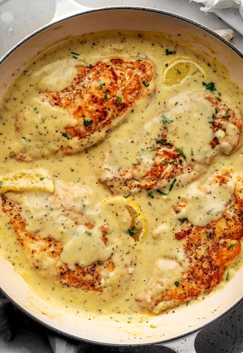 This Creamy Garlic Parmesan Chicken recipe features tender chicken fillets in a rich, creamy sauce made with garlic, fresh Parmesan cheese, and perfect seasonings. Chicken Malibu, Creamy Herb Chicken, Balsamic Roast, Creamy Garlic Parmesan Chicken, Chicken Fillet Recipes, Malai Chicken, Chicken Fillets, Pork Tenderloins, Baked Ranch Chicken