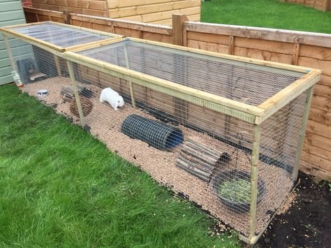 Homemade Rabbit Run                                                                                                                                                                                 More Outside Cage For Rabbits, Diy Bunny Run Outdoor, Rabbit Enclosure Ideas Outdoor, Outdoor Rabbit Run Diy, Outdoor Rabbit Cage Ideas, Rabbit Outdoor Play Area, Homemade Rabbit Cage Outdoor, Rabbit Outdoor House Ideas, Pallet Rabbit Run