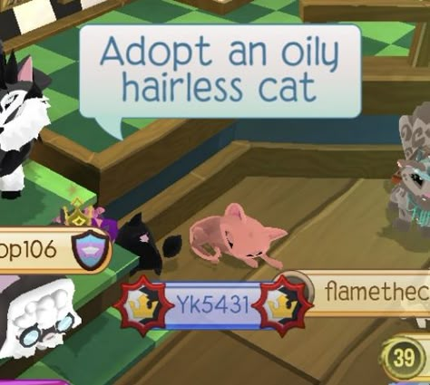 Animal Jam Outfits Ideas, Animal Jam Aesthetic, Animal Jam Memes, Animal Jam Game, Animal Jam, Inside Job, Bestest Friend, Wholesome Memes, Cute Images