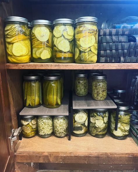 Pickling Aesthetic, Pickles Aesthetic, Pickle Aesthetic, Pickle Board, Sandwich Pickles, Amc Twd, Comfort Things, Bestie Vibes, Homemade Pickles