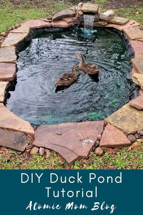 Diy Duck Enclosure Ideas: DIY Duck Pond Duck pond Diy ponds backyard Ponds backyard Diy pond Backyard ducks Duck house diy Shed Into Duck Coop, Koi And Duck Pond, Diy Small Duck Pond, In Ground Duck Pond, Diy Chicken And Duck Coop Ideas, Cute Duck House Ideas, Small Duck Pond Ideas Diy, Diy Goose Pond, Duck Pond With Filter