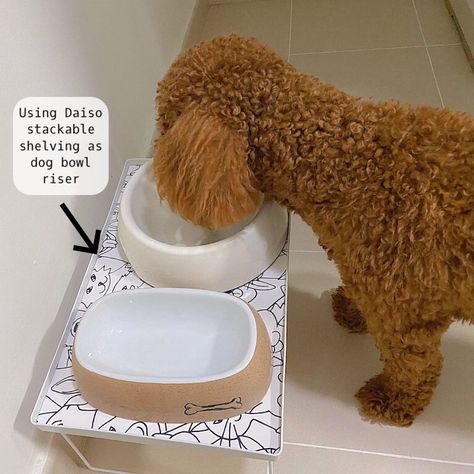 INFINITIDY - DIY Elevated Dog Bowl Stand (Cheap and Easy) Diy Elevated Dog Bowl Stand, Diy Raised Dog Bowl Stand, Diy Elevated Dog Bowls, Elevated Dog Bowls Diy, Raised Dog Bowls Diy, Pet Feeder Diy, Dog Dish Stand, Dog Bowls Diy, Things For Your Dog