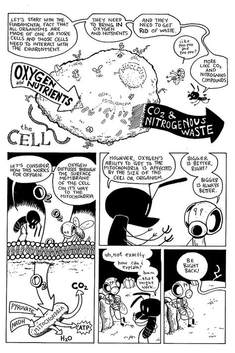 Science Comics Chemistry, Biology Activities, Surface Area And Volume, Classroom Humor, Biology Activity, Biology Poster, Cell Theory, Science Comics, General Biology