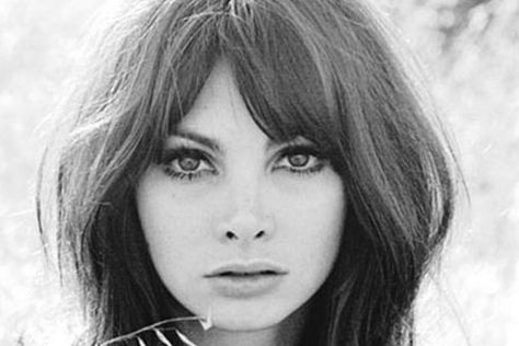 Toni Basil 1966 - cutest hair! 60s Bangs, Toni Morrison Poster, Bluest Eyes Toni Morrison, 1960s Hair, 60s Hair, 70s Hair, Shoulder Length Hair, Hair Envy, Vintage Hairstyles