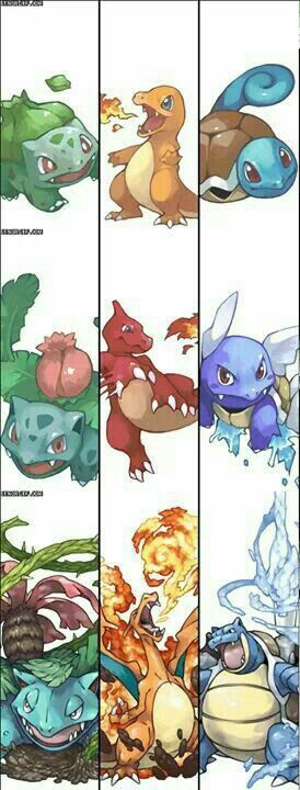 Starter Pokémon, Bulbasaur, Ivysaur, Venusaur, Charmander, Charmeleon, Charizard, Squirtle, Wartortle, Blastoise, evolutions; Pokémon Charmander Charmeleon Charizard, Pokemon Starters, Mega Pokemon, Pokemon Pins, Pokémon Master, Bd Comics, Pokemon Fan Art, All Pokemon, My Pokemon