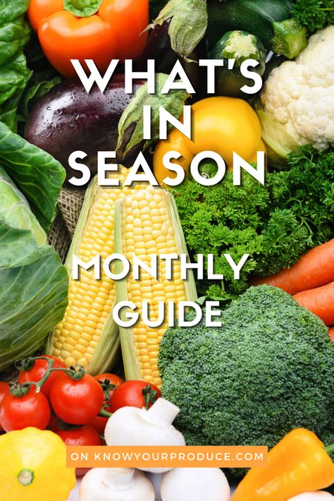 Fruit And Veggies In Season, Fall Season Vegetables, Veggie List Fruits And Vegetables, February Fruits In Season, In Season Fruits And Vegetables December, Fruits And Veggies In Season By Month, In Season Veggies And Fruits, Spring Vegetables In Season, Fall Seasonal Fruits And Vegetables