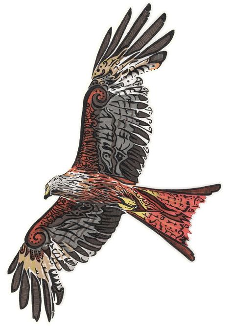 Red Kite Tattoo Design, Red Kite Bird Tattoo, Red Kite Drawing, Kite Bird Drawing, Red Kite Tattoo, Kites Drawing, Red Kite Bird, Kite Illustration, Kite Tattoo