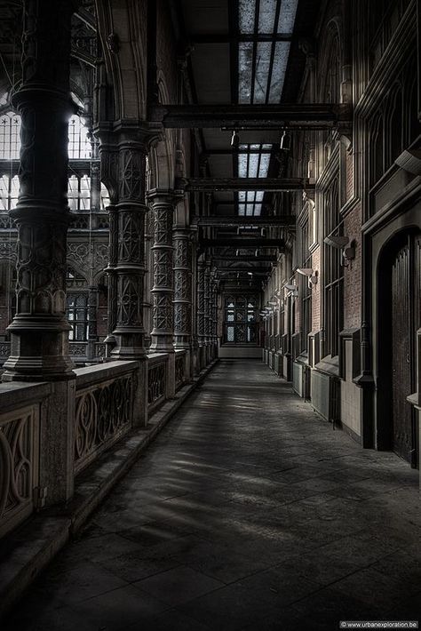 Mansion Corridor, Goth Architecture, Story Prompt, Gothic Mansion, Angel Falls, Building Aesthetic, Gothic Buildings, Dark Castle, Photography Board