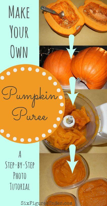 Make your own pumpkin puree from regular pumpkins with this step-by-step photo tutorial. You'll never go back to canned pumpkin again! Make Pumpkin Puree, Big Pumpkin, How To Make Pumpkin, Never Go Back, Best Pumpkin, Canned Pumpkin, Food Processor, Canning Recipes, Pumpkin Recipes