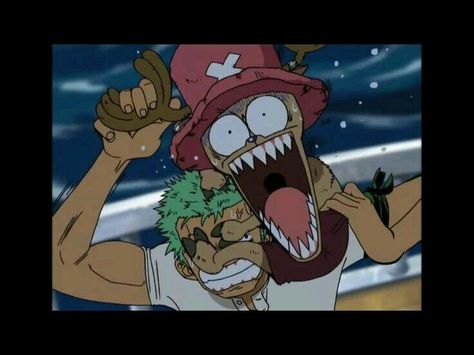 Zoro and Chopper. Its adorable how Chopper always clings to Zoro when he is scared Zoro And Chopper Icon, Zoro And Chopper Cute, Chopper And Zoro One Piece, Zoro X Chopper, Chopper Fanart, Strawhats Pirates, Zoro And Chopper, Chopper Zoro, Zoro Chopper