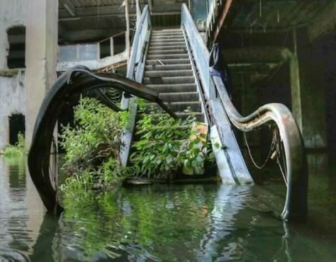 Abandoned Escalator, Soft Apocalypse, Abandoned Mall, Abandoned Malls, Apocalypse Aesthetic, Urban Exploring, Setting Inspiration, Plants Growing, Forgotten Places