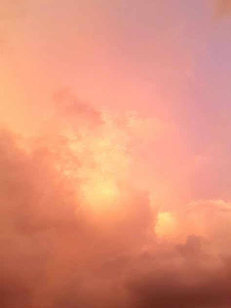 Apricot Aesthetic Color, Apricot Color Aesthetic, Coral Pink Aesthetic, Apricot Aesthetic, Pink Orange Aesthetic, Coral Aesthetic, Youre A Peach, Peach Aesthetic, Shades Of Peach