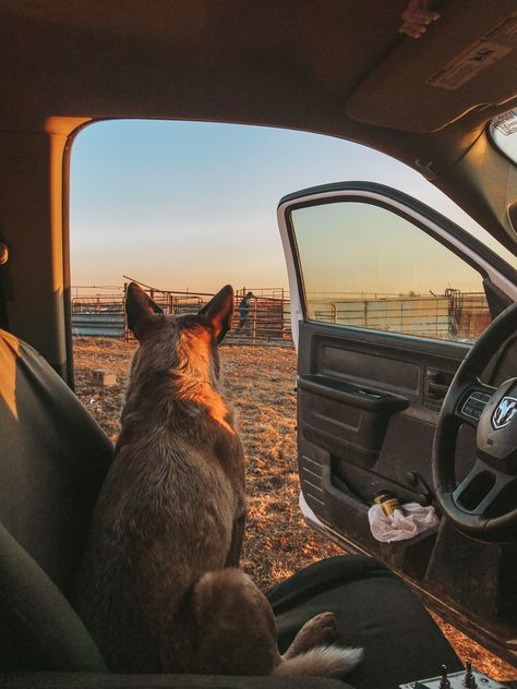 Western Ranch Aesthetic, Simple Country Life Aesthetic, Western Life Aesthetic, Ranching Aesthetic, Rancher Aesthetic, Ranch Family Aesthetic, Ranch Work Aesthetic, Ranch Life Country Living, Ranch Dog Aesthetic