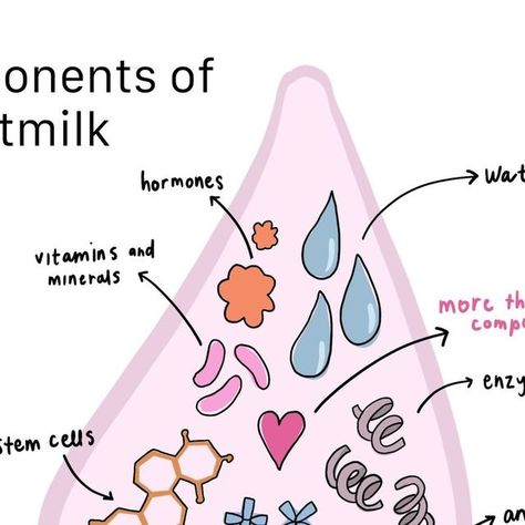 Milky Goodness®️Lactation Cookies on Instagram: "What’s in breastmilk:  1. Water Breastmilk is composed of about 87% water, which is crucial for keeping your baby hydrated.  2. Proteins There are two main types of proteins in breastmilk and levels change as lactation progresses to meet the needs of the infant Whey Proteins are easy to digest and supply a continuous flow of nutrients to the infant. Casein Proteins: Casein concentration increases in mature milk and later lactation. These proteins provide a slow-release source of amino acids, helping to sustain your baby’s growth between feedings.  3. Fats Fats are a critical component of breastmilk, providing about half of your baby’s energy needs and are the most variable compound in human milk. The composition of fats in breastmilk changes Casein Protein, Human Milk, Lactation Cookies, Whey Protein, Breast Milk, Amino Acids, Vitamins And Minerals, Composition, Milk