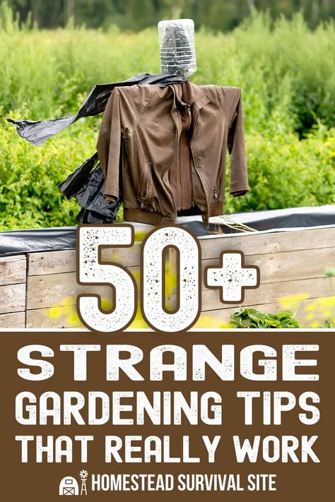 50+ Strange Gardening Tips That Really Work Seed Planter, Planting Marigolds, Garden On A Budget, Home Safety Tips, Flower Tips, Gardening Tricks, Pulling Weeds, Outdoor Design Ideas, Boiled Vegetables