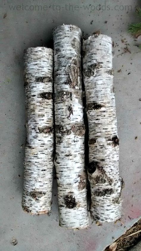 How to use REAL birch tree branches and bark in your Christmas decor Burch Logs Christmas Decor, Decorating With White Birch Branches, What To Do With Birch Logs, Aspen Decor Ideas, Diy Aspen Tree Decor, Birch Wood Decor Ideas, Birch Bark Crafts Diy Christmas Decor, Birch Christmas Tree Decorating Ideas, Diy Birch Logs