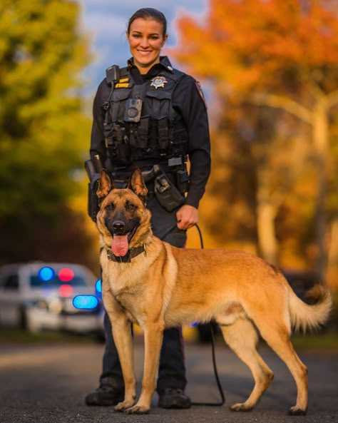 Belgian Malinois Police, Police K9 Photography, K-9 Unit, K 9 Dogs, Women In Law Enforcement, K9 Handler, K9 Police Dogs, K9 Officer, K9 Police