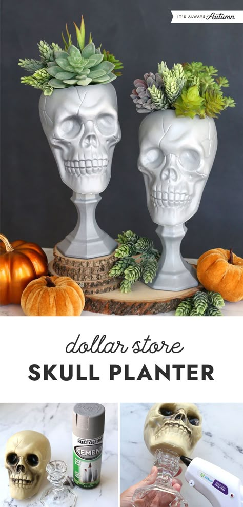 Transform a plastic skull and a glass candle holder from the dollar store into a faux cement skull planter. This easy craft project will be the perfect addition to your Halloween decor. Dollar Store Gothic Decor, Vampire Outdoor Decor, Dollar Tree Halloween Skull Decor, Halloween Glass Candle Holder, Skull Room Decor Ideas, Halloween Planters Diy, Diy Halloween Outside Decor, Skull Mantle Decor, Skulls Halloween Decorations