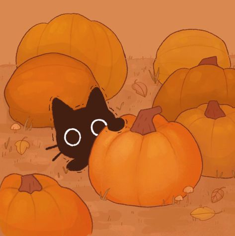 A Black Cat, A Black, Pumpkins, Black Cat, Halloween, Twitter, Instagram, Black