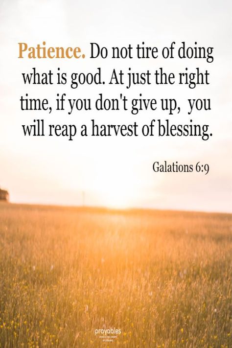 Amen! Click pics to print Bible Verse, Daily Blessings, Affirmations, Prayers, and Inspirational Quotes. Sunday Quotes Inspirational Bible, Sunday Scripture Quotes, Amish Proverbs, Farm Signage, Bible Verse Daily, Pics To Print, Photo Facebook, Change Your Perspective, Daily Blessings