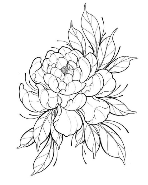 Traditional Flower Tattoo Outline, Floral Tattoo Design Drawings, Neo Traditional Flower Tattoo, Flower Tattoo Outline, Line Floral Tattoo, Fine Line Floral Tattoo, Floral Spine Tattoo, Japanese Peony Tattoo, Traditional Flower Tattoo