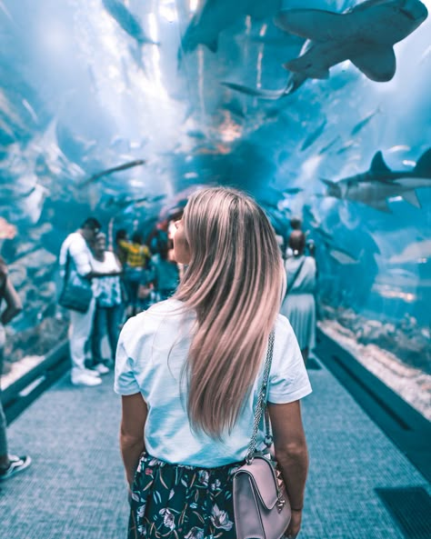 Dubai Aquarium Photography, Zoo Photoshoot Ideas, Zoo Photo Ideas, Dubai Aesthetic Girl, Dubai New Year, Dubai Instagram Pictures, Dubai Picture Ideas, Dubai Pics, Vacay Pictures