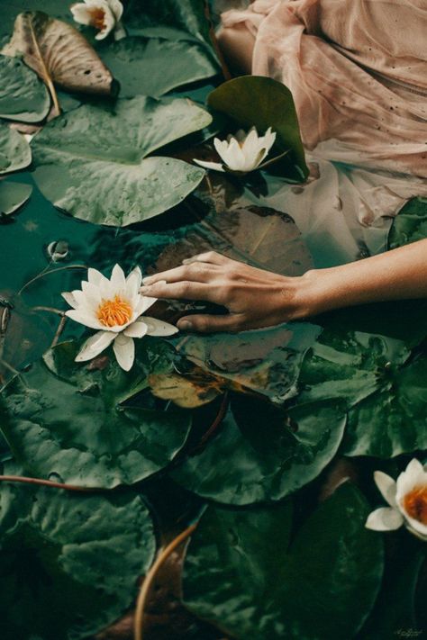 Tantra For Women: The Healing Power Of Tantra For Women Romeo I Julia, Dark Green Aesthetic, Slytherin Aesthetic, Healing Powers, Water Lilies, Green Aesthetic, Draco Malfoy, Lily Pads, Photography Inspiration