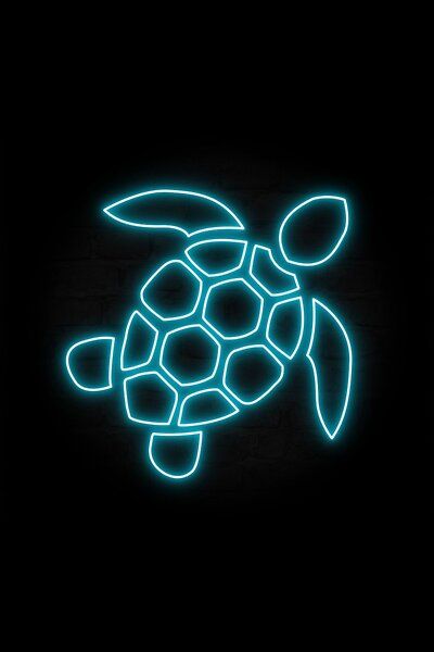 Cyan Aesthetic Icon, Cyan Widgets, Sea Turtle Wallpaper, Palm Tree Wallpaper, Teal Aesthetic, Turquoise Aesthetic, Turtle Wallpaper, Neon Icons, Palm Trees Wallpaper