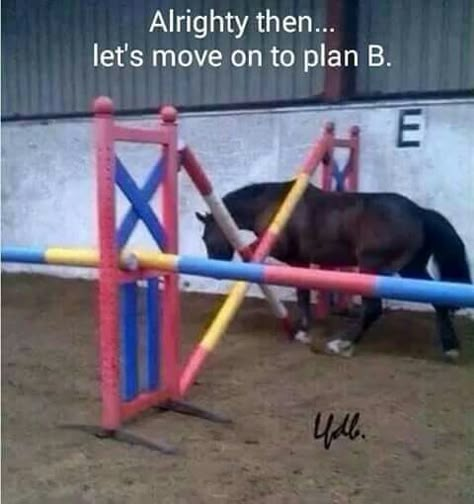 Maybe that's a new type of show jumping? #Jupinkle Equestrian Memes, Funny Horse Memes, Horses Funny, Horse Meme, Horse Quotes Funny, Horse Humor, Funny Horse Pictures, Horse Jokes, Horse Memes