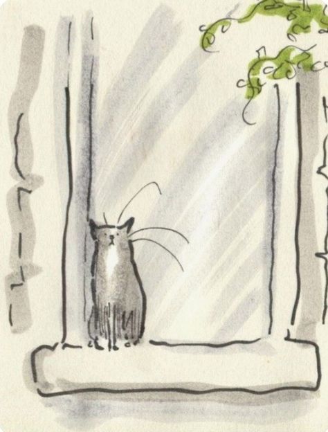 Cats Drawing, Cats In Art, Cat Stuff, Crazy Cat, Crazy Cat Lady, Cat Lady, The Window, Cat Art, A Cat