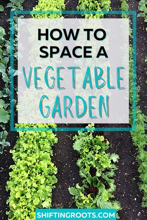 Proper spacing is a must for a successful vegetable garden! In this blog post, I answer some common questions and provide handy vegetable spacing guides for both traditional row gardens and square foot gardens to make vegetable gardening a little easier for everyone this year! Vegetable Garden Spacing, Vegetable Spacing Guide, How To Lay Out A Vegetable Garden, Maximizing Garden Space, In Ground Vegetable Garden, Garden Spacing, Home Vegetable Garden Design, Garden Projects Diy, Garden Rows