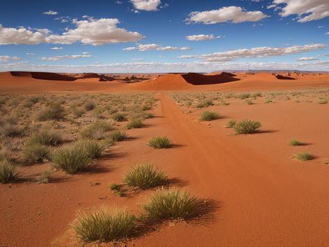 Discover Australia's Natural Beauty: Outback Desert Landscape Australia Desert, Australian Desert, Inspiring Landscapes, Landscape Inspiration, Australian Architecture, Desert Landscape, Desert Landscaping, Awe Inspiring, Queensland