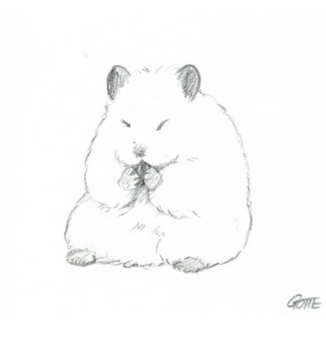 Hamster Drawing Sketches, Cute Cards For Friends, Hamster Drawings, Hamster Tattoo, Hamster Drawing, Hard Drawings, Animal Drawings Sketches, Minimalist Drawing, Animal Study