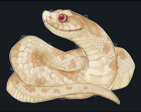 Western Hog Nose Snake, Hog Nose Snake Drawing, Hog Nose Snake Tattoo, Hognose Tattoo, Hognose Snake Drawing, Hog Nose Snake, Pencil Art For Beginners, Dnd Pets, Reptile Art