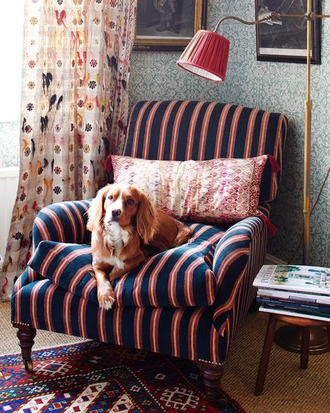 Bailey is sitting cosy on our Savernake armchair in our chenille stripe. A generously proportioned armchair with down-filled cushions for… Saturday Plans, Striped Armchair, Antique Armchair, Armchair Upholstery, Robert Kime, Traditional Armchairs, Striped Sofa, Interior Mood Board, English Interior