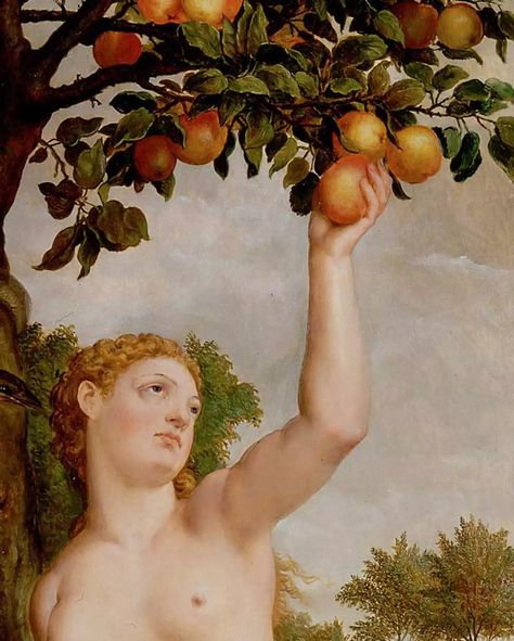 Rethinking Eve’s Apple - Tablet Magazine Allegory Of The Cave, Simple Poems, Color Symbolism, Apple Art, Levels Of Understanding, Beach Color, Elements Of Nature, Deep Meaning, Apple Tree