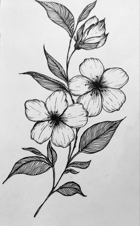 Flower garden Floral Art Sketch, Nature Drawings Simple Sketch Flowers, Drawing Ideas Nature Flower, Sketchbook Flowers Drawings, What To Draw In A Sketchbook Easy, Flower Art Drawing Sketches Simple, Flower Sketches Easy, Nature Drawing Simple, Pretty Flower Drawings