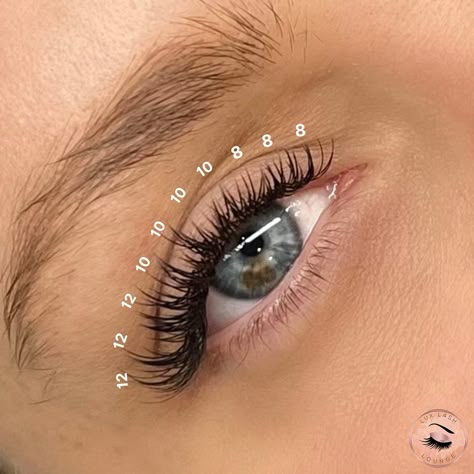 ‼️Lash Technicians‼️ Here’s something for you to try⬇️ Wispy Cat Eye Lash Map👀⭐️ 8-12mm, Classic C-Curl❤️‍🔥 This is a gradual sharp cat eye because it’s going from 8mm to 12mm🔪 We love this set and it’s an easy lash map to follow🥰👀 📍Classic Lash Extensions in Brooklyn, NY 📲718-801-2523 📍Classic Lash Extensions in Long Island, NY 📲516-907-2200 💻www.luxlashlounge.com #lashmap #cateyelashextensions #cateyelashmap #lashmappingskills #lashmappingtips #lashextensions #nyclashtech #brooklynl... Kiss Lash Extensions Map, 8 10 12 Lash Map, C Curl Classic Eyelash Extensions, C Curl Cat Eye Lashes, 8mm Lash Extensions, 2d Lash Extensions Cat Eye, 8-12 Mm Lashes, Angel Set Lash Extensions Mapping, Classic Set Mapping