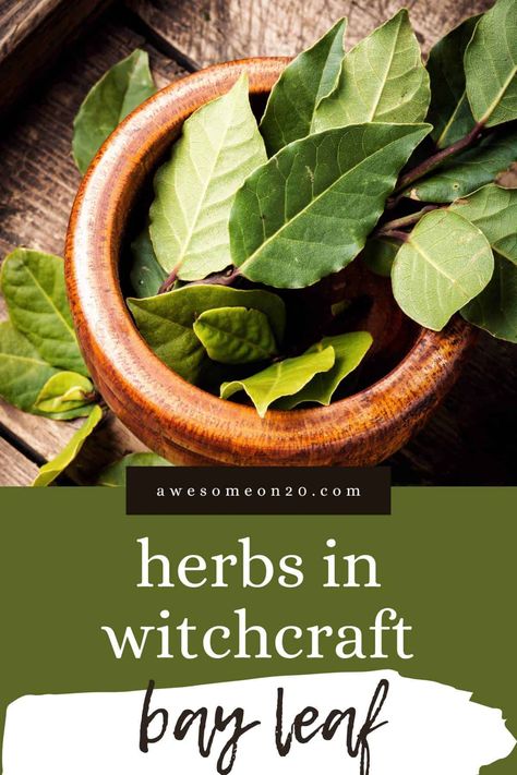 The bay leaf is widely known for its powers of manifestation, but this herb can do more than just make wishes come true. Learn how to use it in healing and in witchcraft. #witchcraft #bayleaf #kitchenwitchcraft #manifestation Bay Leaves Witchcraft, English Potatoes, Herbs For Protection, Bay Laurel Tree, Burning Bay Leaves, Easy Mixed Drinks, Easy Roast Chicken, Kitchen Witchery, Bay Leaves