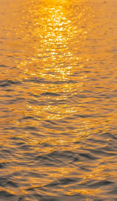 Golden Wallpaper Iphone, Golden Hour Wallpaper, Wallpaper Hd Nature, Iphone Wallpaper Orange, Yellow Aesthetic Pastel, Iphone Wallpaper Hd, Water Sunset, Beautiful Beach Pictures, Beach Sunset Wallpaper