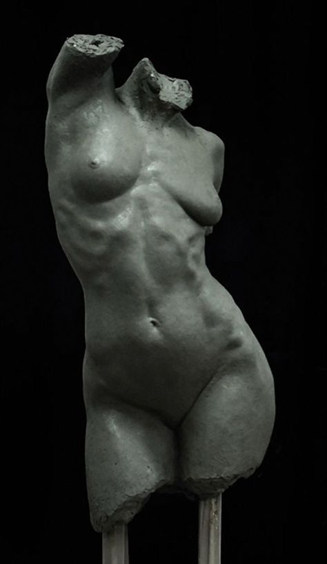 Female Torso Statue, Figure Sculpture Anatomy, Torso Poses Female, Greek Torso Sculpture, Women Torso Sculpture, Female Anatomy Sculpture Reference, Statue Body Reference, Female Sculpture Anatomy, Female Torso Reference Drawing