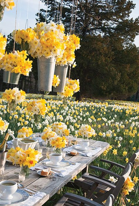 Daffodil Wedding, Arkansas Wedding Venues, P Allen Smith, Romantic Wedding Venue, Stunning Wedding Venues, Stone Sculptures, Garden Wedding Venue, Yellow Style, Places To Get Married