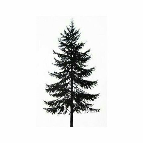 Tree Tattoo Ribs, Tree Tattoo Side, Evergreen Tree Tattoo, Tattoo Ribs, Pine Tattoo, Tattoo Tree, Pine Tree Tattoo, Forest Tattoos, E Tattoo