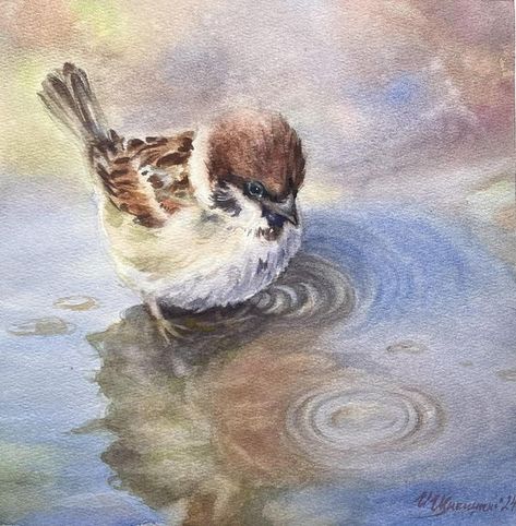 World Watercolor Group | “Sparrow” Watercolor on paper  28x28 cm | Facebook Watercolor Sparrow, Sparrow Watercolor, Sparrow Painting, Water Puddle, World Watercolor, Art Knowledge, Birds Paintings, House Sparrow, Paintings Tutorials