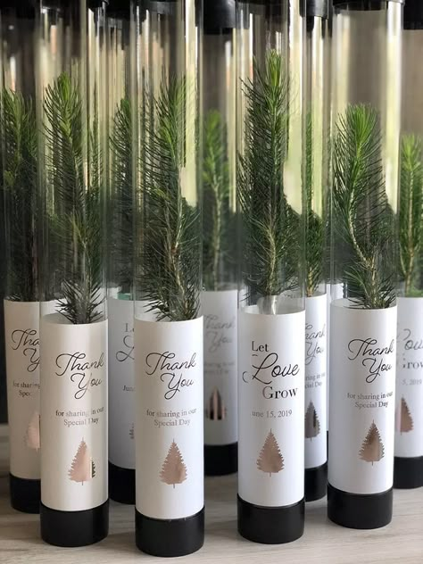 Tree Wedding Favors, Photographer Client Gifts, Southern Thanksgiving, Let Love Grow, Thanksgiving Menu Ideas, Event Favors, Fall Wedding Centerpieces, Best Wedding Favors, Rustic Wedding Favors