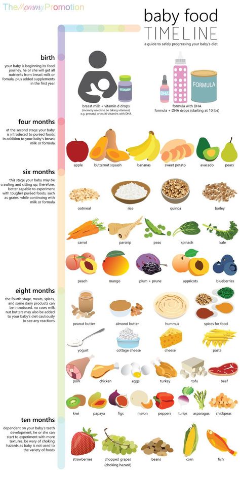 Baby Food Timeline, Baby Charts, Baby Santana, Baby Royal, Diy Baby Food, Baby Food Chart, Baby First Foods, Baby Foods, Food Time