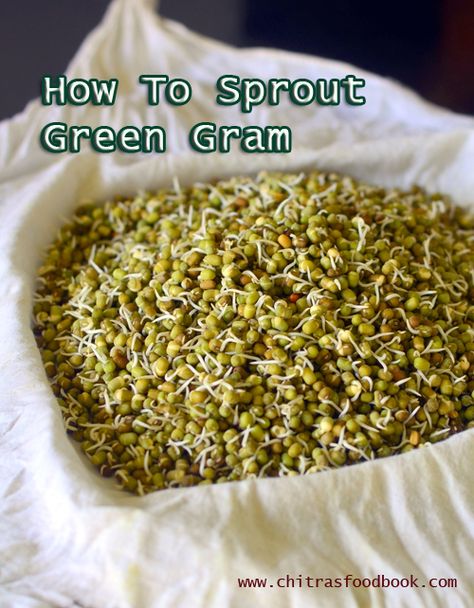 How To Make Sprouts At Home – Moong Bean Sprouts – Green Gram Sprouts | Chitra's Food Book How To Make Bean Sprouts, Moong Sprouts Recipes Indian, Mung Bean Sprouts Recipes, How To Cook Mung Beans, How To Make Sprouts, How To Sprout Mung Beans, Moong Sprouts, Green Gram, How To Make Greens