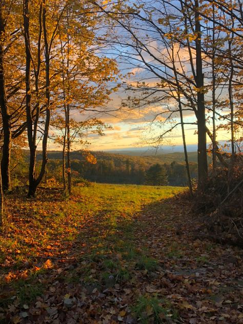 Fall Nature Aesthetic, Country Side Aesthetic, Wald Wallpaper, Fall Meadow, Autumn Countryside, Autumn Sky, Fall Landscape, Pretty Landscapes, Autumn Nature