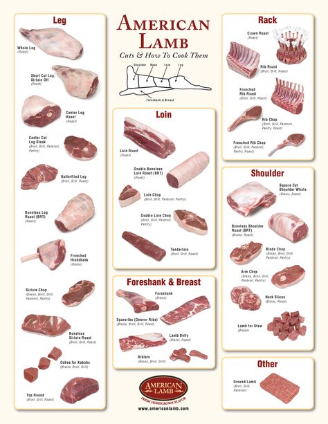 Farm Record Keeping, Meat Cuts Chart, Beef Cuts Chart, Lamb Cuts, Meat Preparation, Culinary Techniques, Meat Shop, Food Infographic, Healthy Food Facts